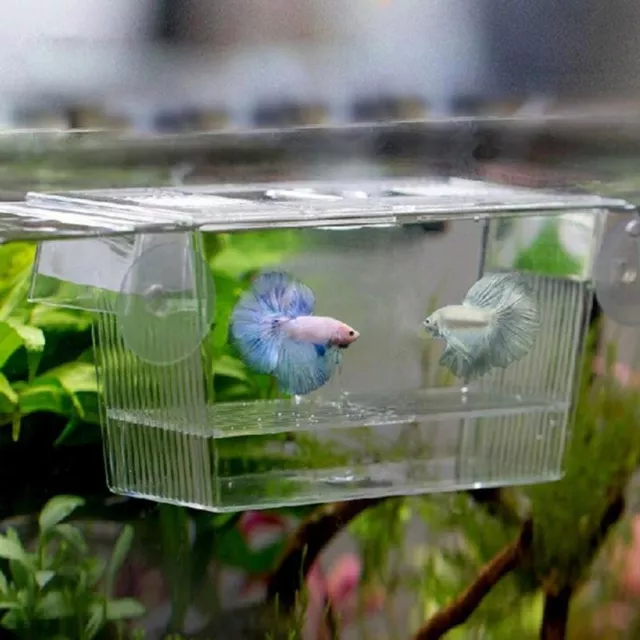 Aquarium Transparent Betta Bowl  Mini House Incubator Box For Fighter Fish Fry🐠