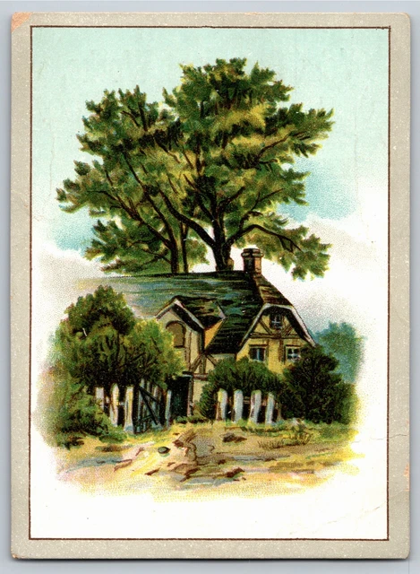 C.H. Dempwolf & Co. York Chemical Works PA Bone Phosphate Victorian Trade Card
