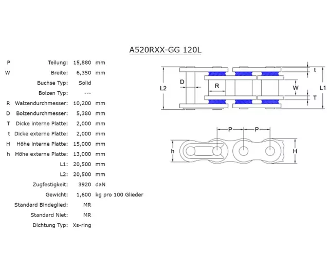 Afam Kette 520 RXX-GG XSS-Ring gold 120 Glieder - Rennkette Supersport Superbike 3