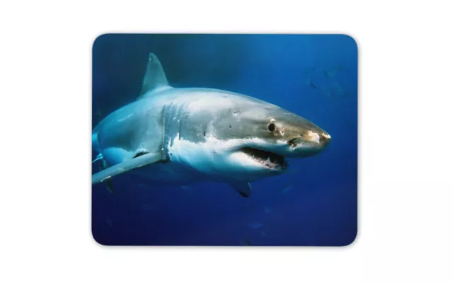 Awesome Great White Shark Mouse Mat Pad - Surf Diving Fun Gift PC Computer #8314