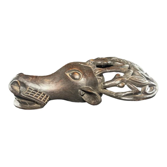 African Buffalo Mask, Bamileke Cameroon 3