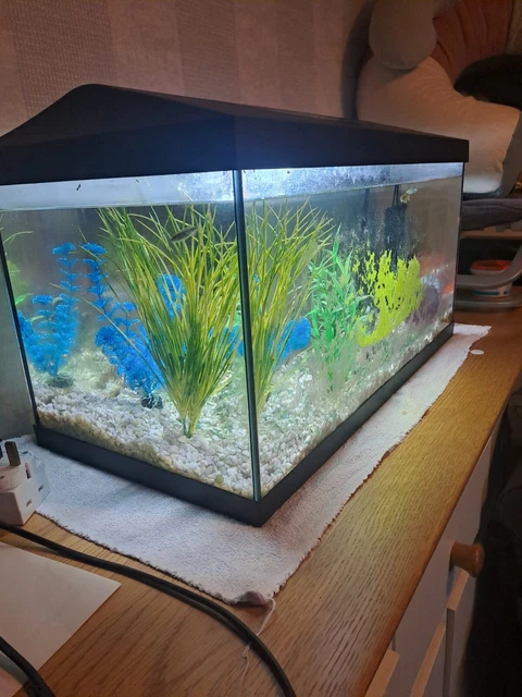fish tank