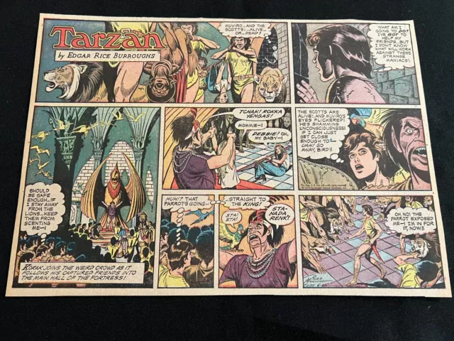 #H07b TARZAN by Russ Manning Lot of 26 Sunday Half Page Comic Strips 1972 ERB
