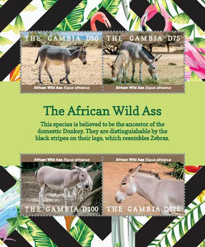 Gambia 2018 - African Wild Ass - Sheet of 4v - MNH