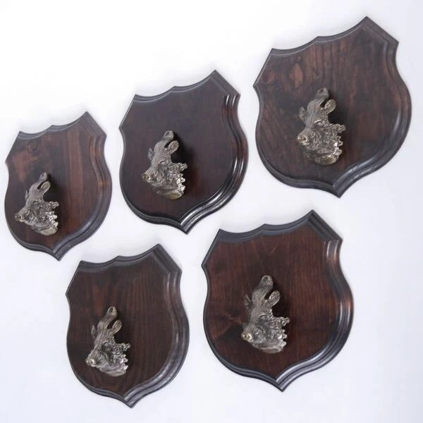 5x Armas Jabalí Escudo de Trofeo Forma de Escudo, Af 19cm, Con Jabalí Cabeza
