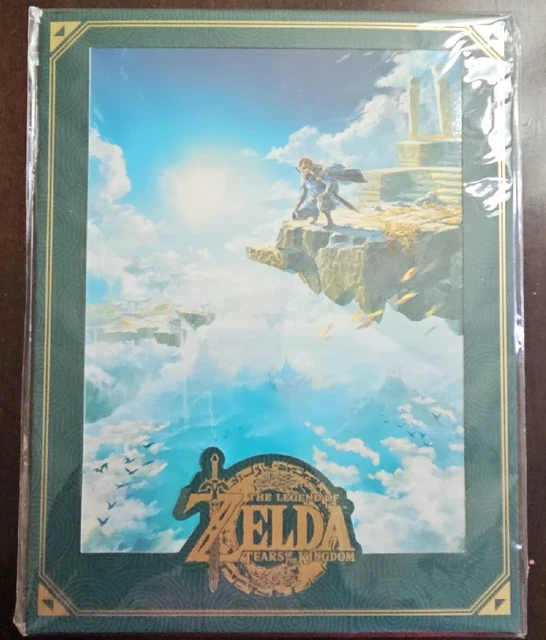 THE LEGEND OF Zelda Tears Of The Kingdom Art Print Best Buy Pre