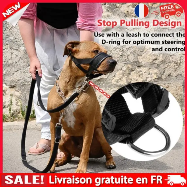 Dog Muzzle Anti Bite Pet Nylon Strap Training Leash Adjustable Mask (L)