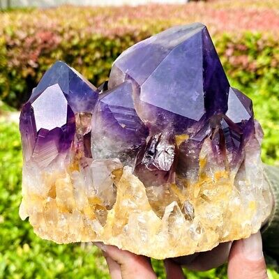 2.73LB Natural purple crystal quartz crystal cluster mineral specimen