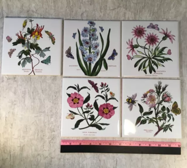 5 H & R Johnson Tiles England Ceramic Tile Flower 6" X 6"