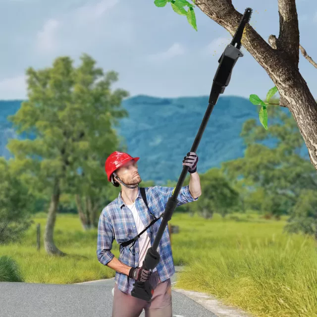 Pole chainsaw shop and hedge trimmer