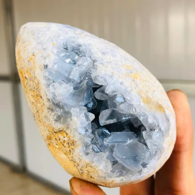 393G Natural Blue Celestite Geode Quartz Crystal Mineral Specimen  N240