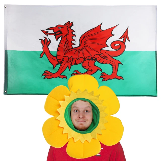 St Davids Welsh Daffodil Hat And Flag Fancy Dress Wales Rugby Cymru Dragon