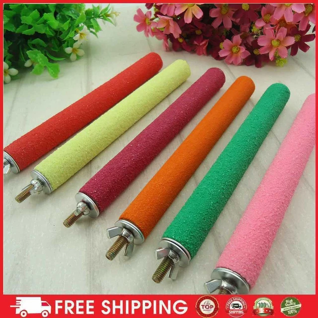 Bird Standing Stick Colourful Pet Bird Molar Stick Portable for Little Bird Myna
