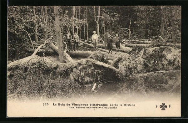 CPA Le Bois de Vincennes, picturesque after the Cyclone 1908 - Les Arbres senten