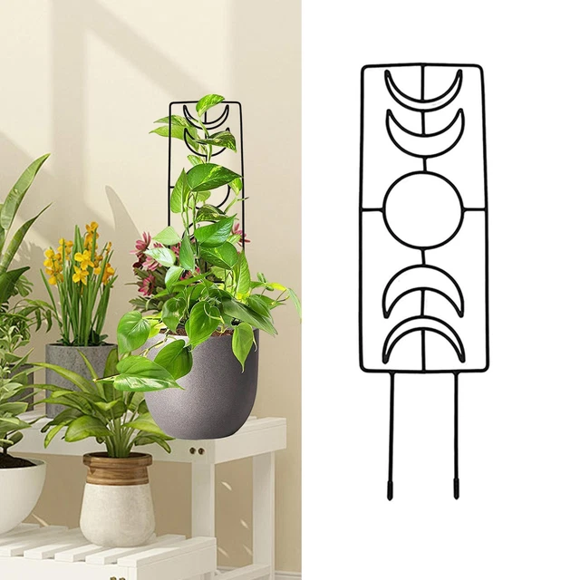 Treillis De Jardin Pliable Pour Plantes En Pot, Piquets De Plantes En Métal, Cadre De Support Pour Plantes, 120, 150, 180, 220 Cm, Tuyau En Acier PE + Grille PP, Cage à Tomates Pour Intérieur Et