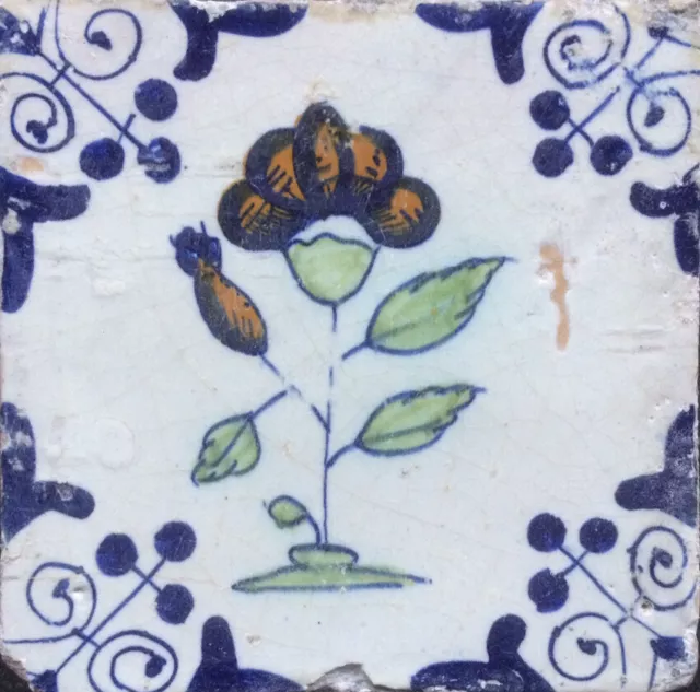 Antique Early Dutch Delft Maiolica Tile Flower ‘’Goudse Hoek’’ Circa 1625