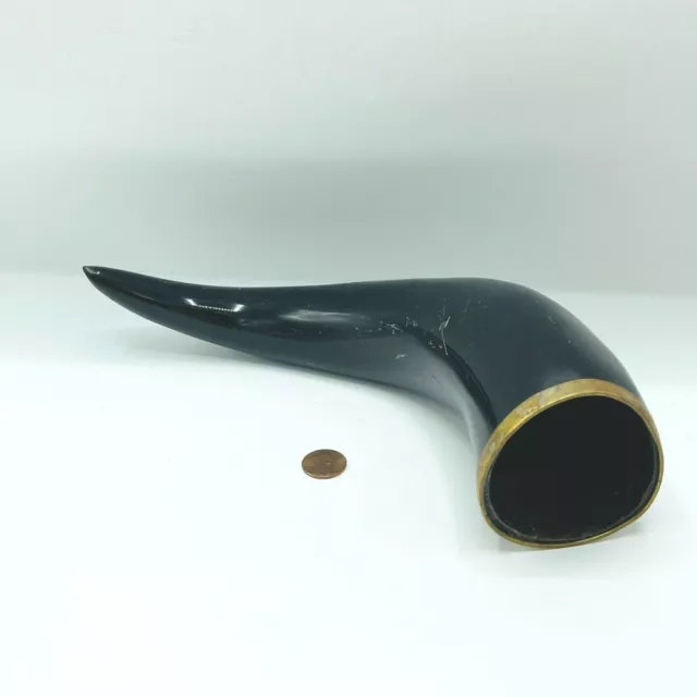 Vintage Black Drinking Horn With Brass Trim 11" Viking Decor