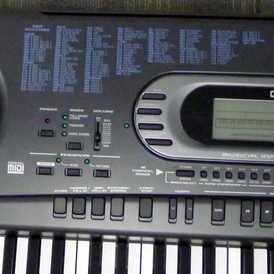 CASIO WK-1600 ELECTRONIC Keyboard PicClick UK