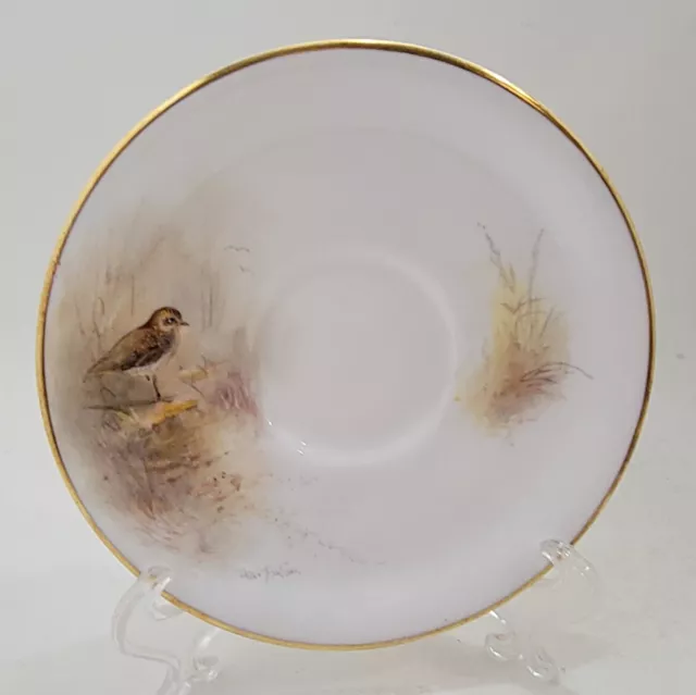 Royal Worcester Game Birds Golden Plover Saucer Handpainted Stinton 5 3/4" A