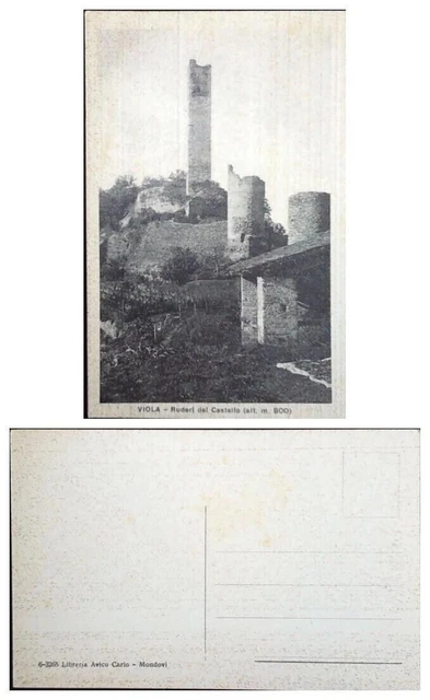 Cartolina Piemonte-Cuneo-Viola Ruderi Del Castello