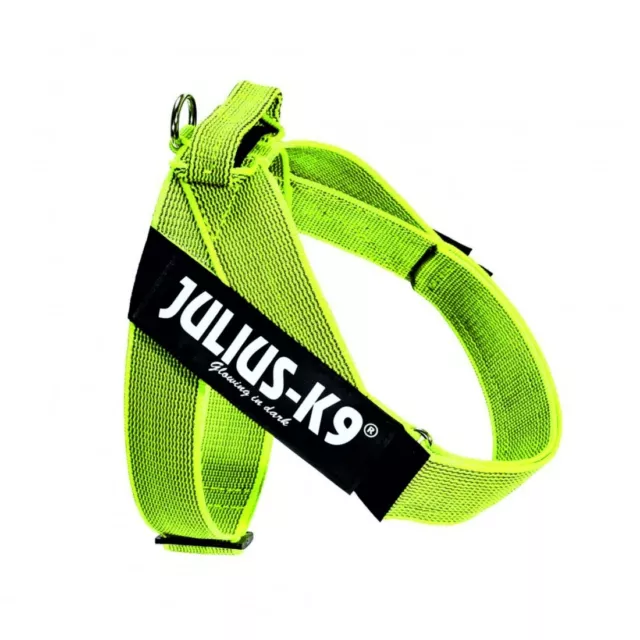 Pettorina Cane JULIUS-K9 IDC Belt Harnesses Gialla