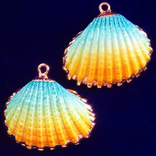 2Pcs Gold Edge Blue Yellow Scallop shell Pendant Bead 28x26x3mm F47739