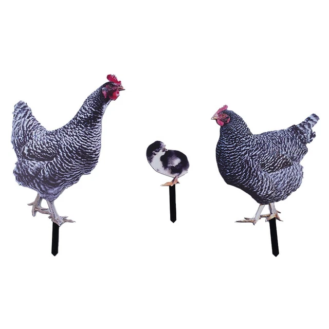 Beautifully Crafted Hen Rooster and Chicken Garden Sculptures Set of 3
