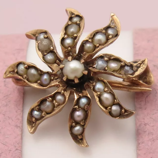 Antique Victorian 10k Rose Gold Starburst TINY Miniature Seed Pearl Brooch Pin