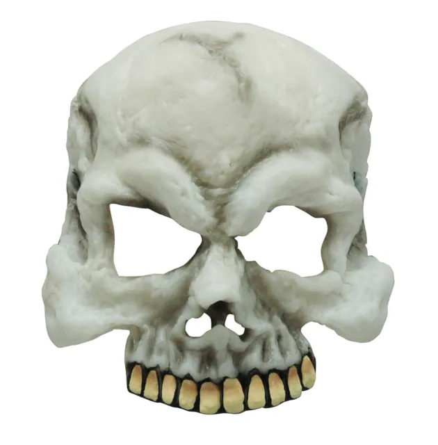 Demi Visage Crâne Masque Déguisement Halloween Horreur Pour Enfants & Adultes