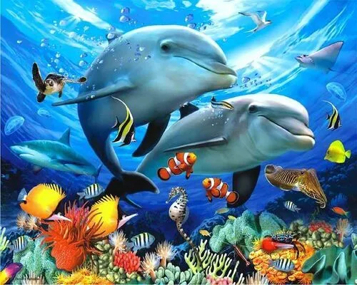 Paint By Numbers - Dolphins - 40x50cm DIY paint kit - AU stock