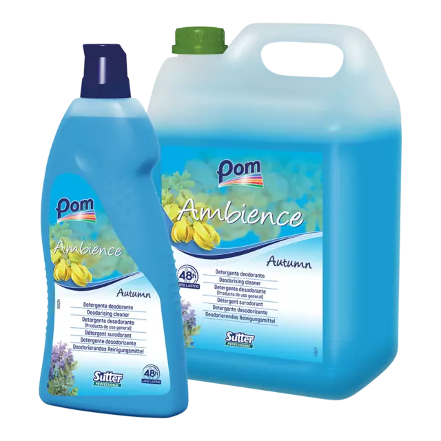 AMBIENCE AUTUMN Detergente deodorante per tutte le superfici brezza marina 5 Kg.