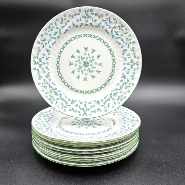 Aynsley England Bone China Dessert Plates Forget Me Not Pattern Set of 8