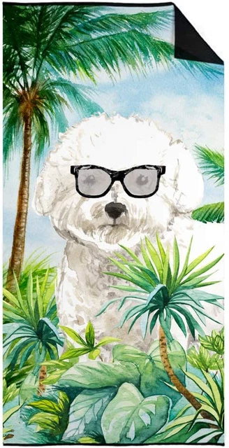 CK3024TWL3060 Bichon Frise Premium Beach Towel, Oversized - Towel for Beach, Bat