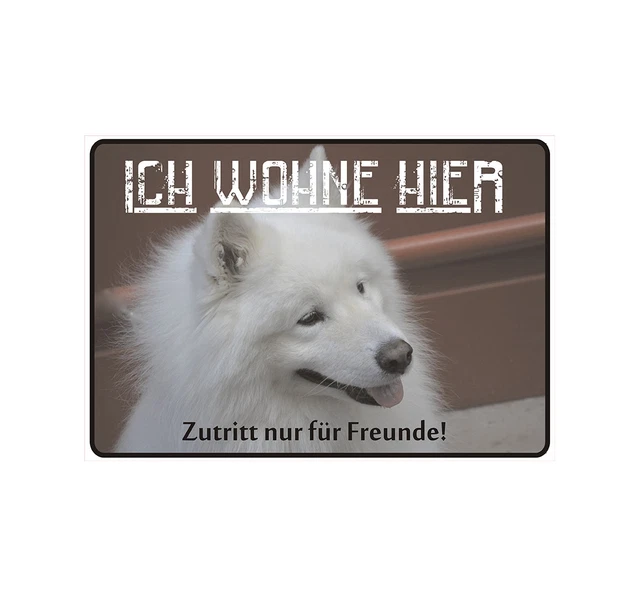 3 PZ CARTELLO Di Avvertimento Giardino Attenzione Cartello Cane Ferro