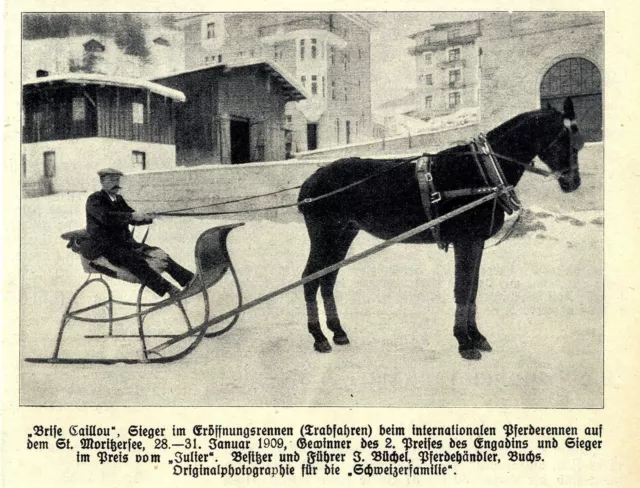 Die Gewinner des intern.Trabrennens auf dem St.Moritzsee im Januar 1909
