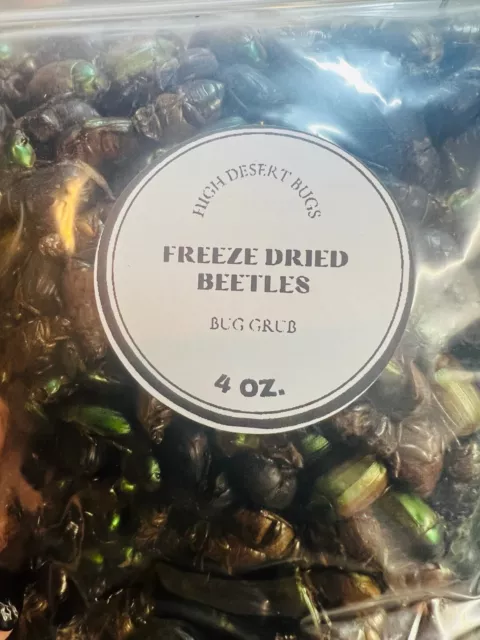 Dried Beetles 4oz Insectivore Omnivore treats Chickens Reptiles Hermit Crabs 