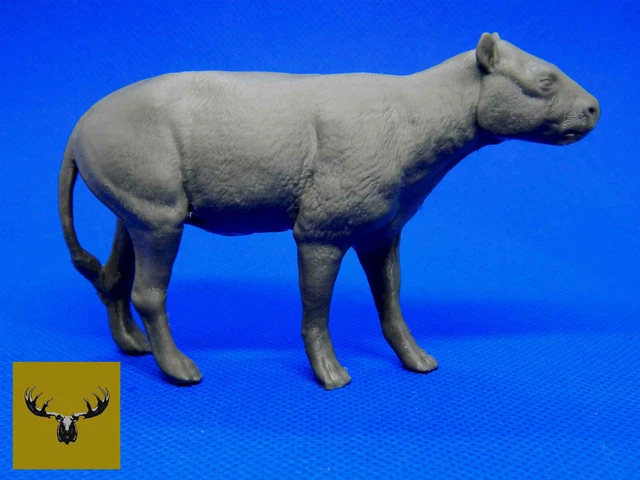Oreodont!  Resin Cast Model 1/13 scale. Super detailed and very rare! 3