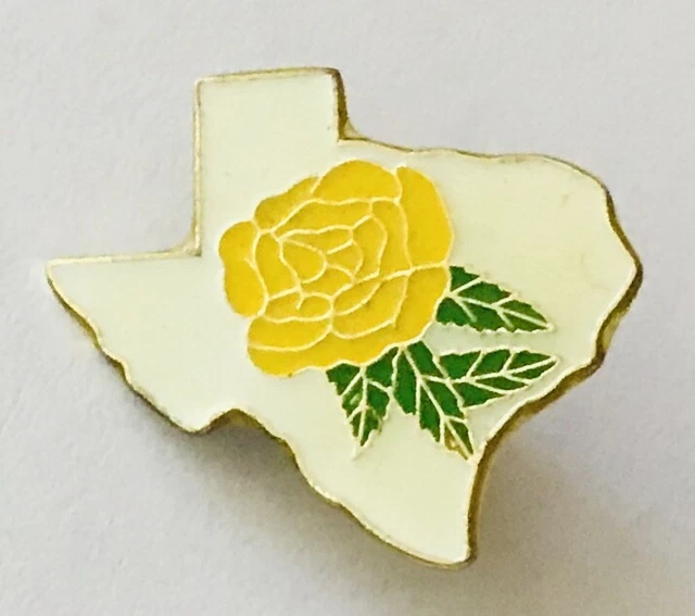 TEXAS PIN BADGE State Flower Yellow Rose Rare Vintage Souvenir (G3) $9.