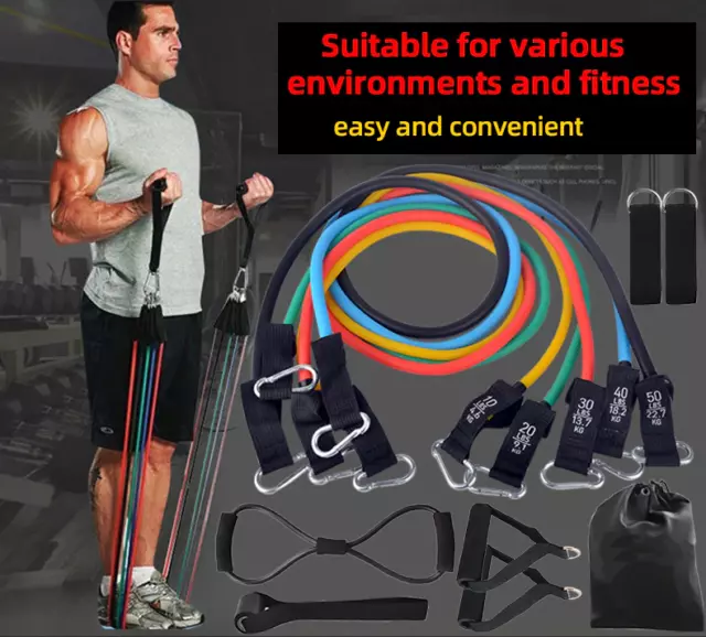 12 pcs Fitness Resistance Bands (100lbs)
