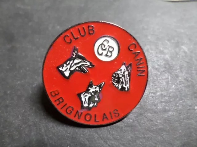 Collection Pins Objects Advertising, Pyrenean Shepherd, Club Canine Brignolais,