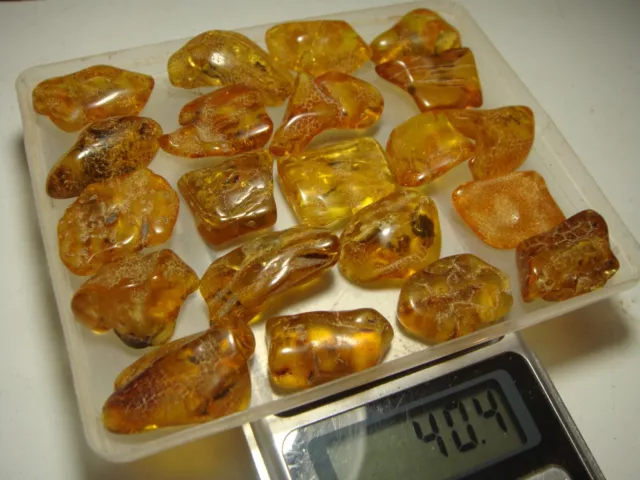 AMBER / raw baltic stones bernstein natural bursztyn POLISHED genuine 琥珀 (e695