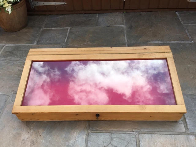 Collectible Display Cabinet