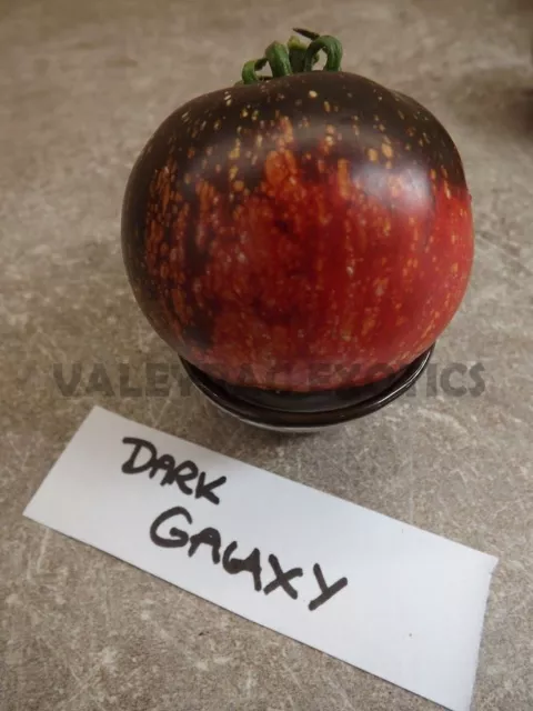 Dark Galaxy Tomato - Heirloom - 5+ seeds - RARITY! P 017