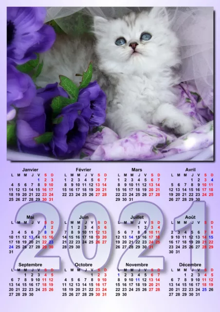 calendrier 2024 chat affiche plastifiée 30 x 40 cm réf 154