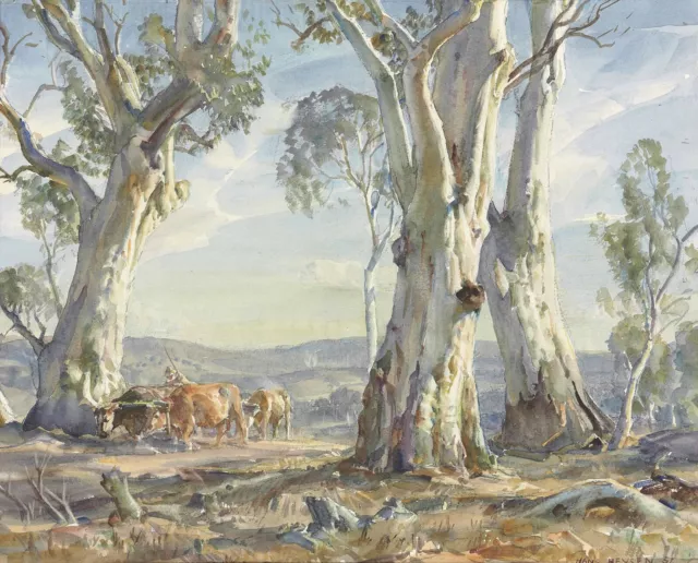 Hans Heysen  Canvas Print  "A Drover and Cattle"  Framed & Ready to Hang