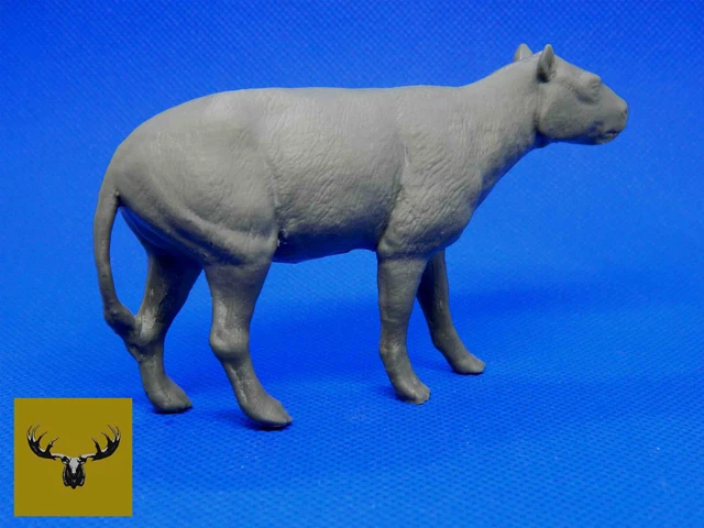 Oreodont!  Resin Cast Model 1/13 scale. Super detailed and very rare! 2