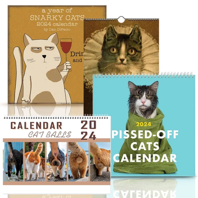 2024 CALENDAR PISSEDOFF Cats Funny Cat Ball Grumpy Snarky Ugly Cat