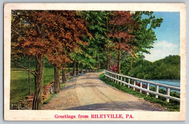 Pennsylvania PA - Greetings from Rileyville - Vintage Postcard - Posted 1938