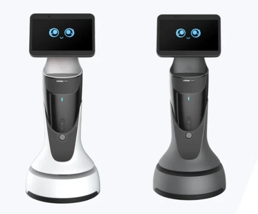 Ex-Demo Reception Mini Robot by Orion Star Robotics