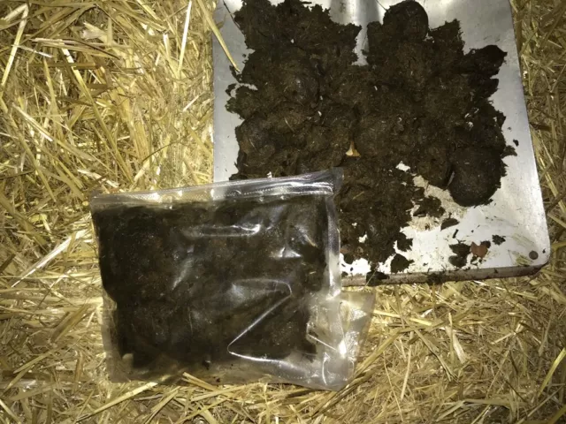 PFERDEDUNG PFERDEMIST JAUCHE Rosendünger Tomatendünger Blumen Bio